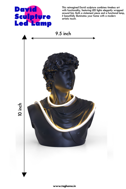 Michelangelo's David Matte Black Home Decor Sculpture with Light