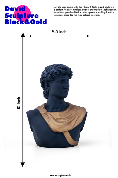 Michelangelo's David Black & Gold Matte Home Decor Sculpture (26 x 30 x 17 cm)