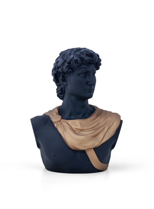 Michelangelo's David Black & Gold Matte Home Decor Sculpture (26 x 30 x 17 cm)