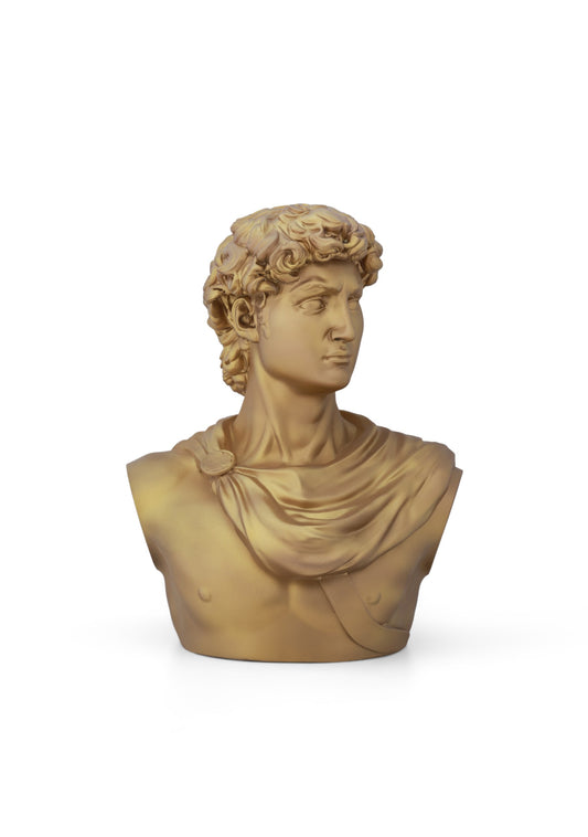 Michelangelo's David Gold Matte Home Decor Sculpture